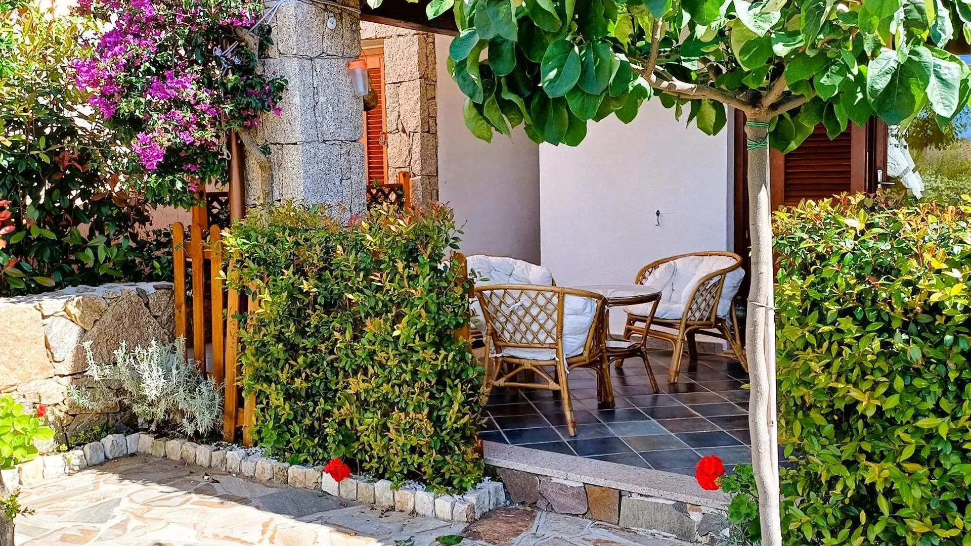 Frank'S Home Tanaunella